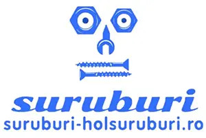 Șuruburi HolȘuruburi